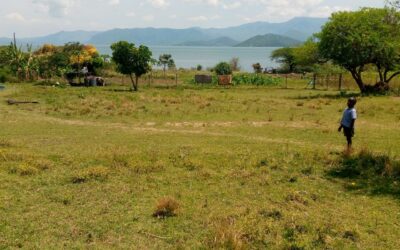 BEACH FRONT PROPERTY, 4 HECTARES